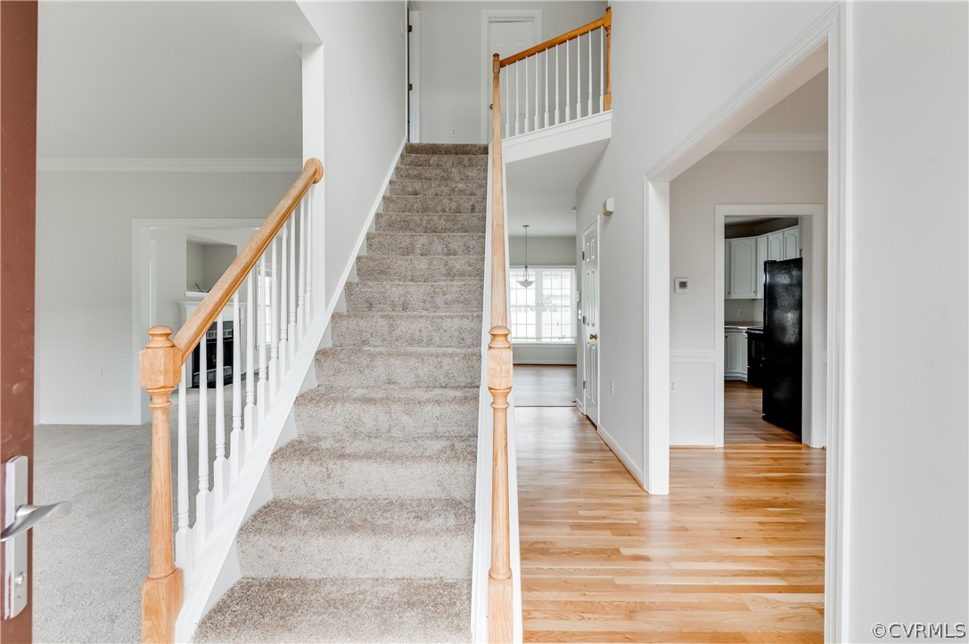 11116 Mill Place Ct