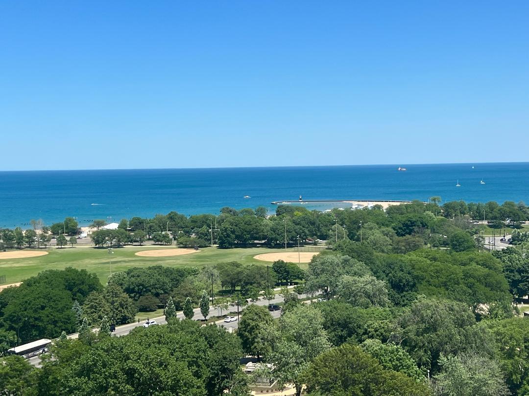 1660 N LaSalle Drive Unit: 3503