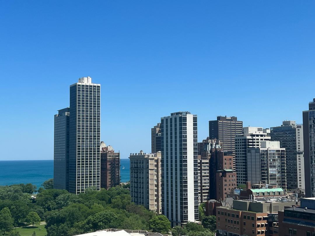 1660 N LaSalle Drive Unit: 3503