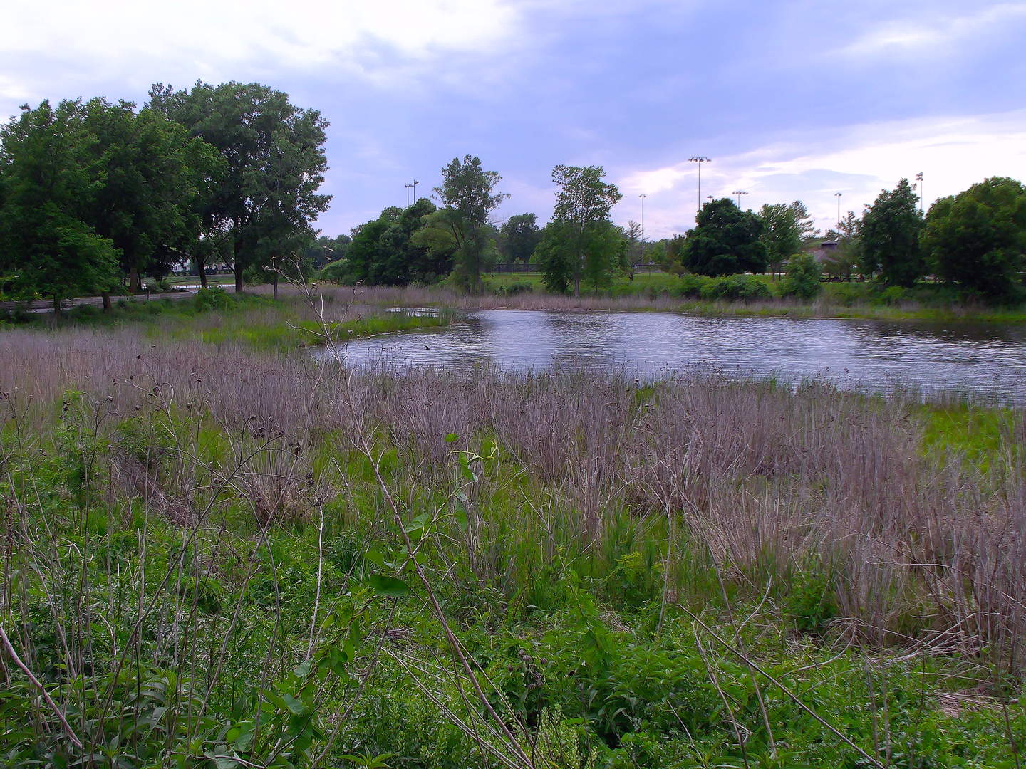 1 Bloomingdale Place Unit: 502