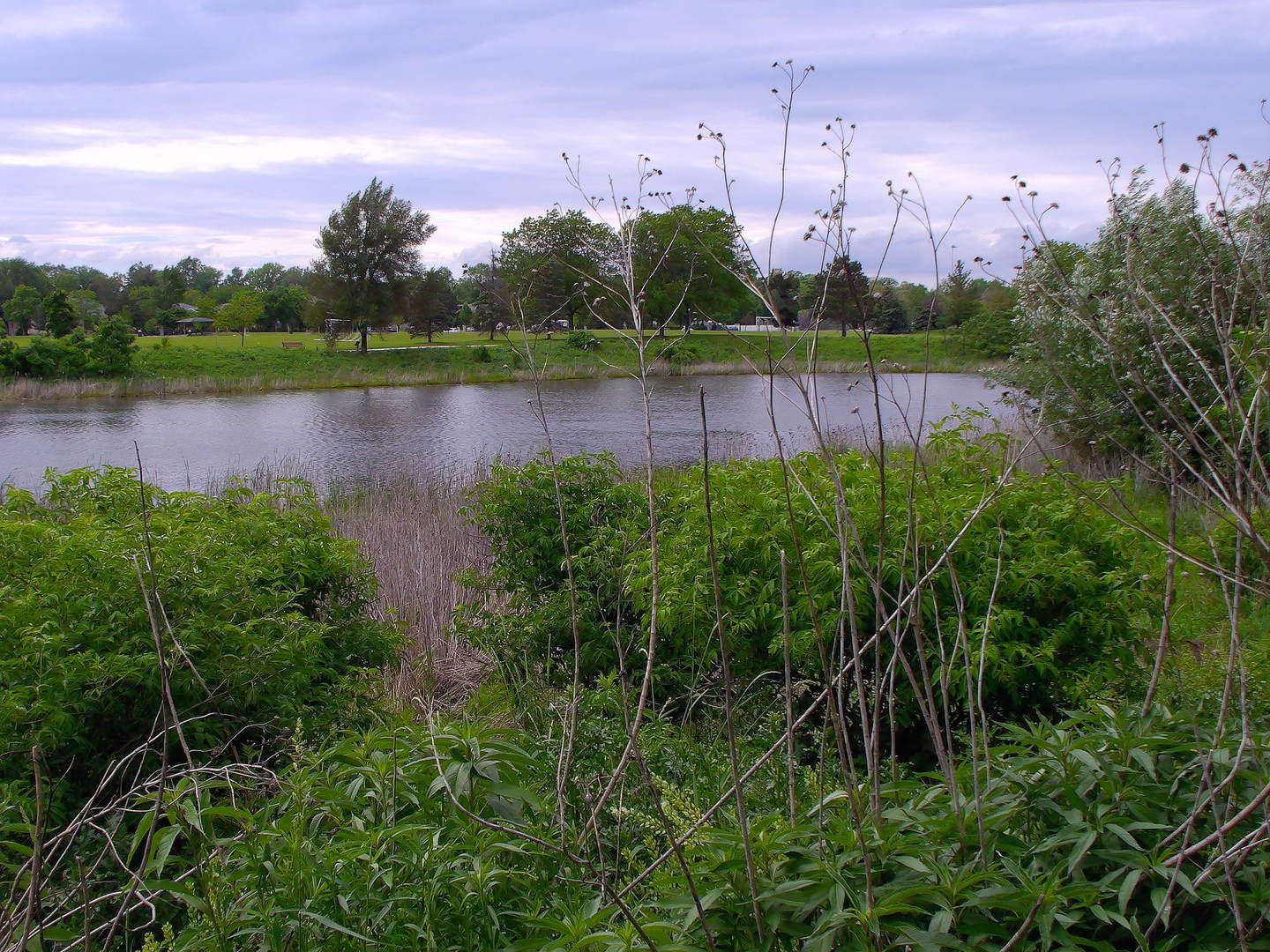 1 Bloomingdale Place Unit: 502