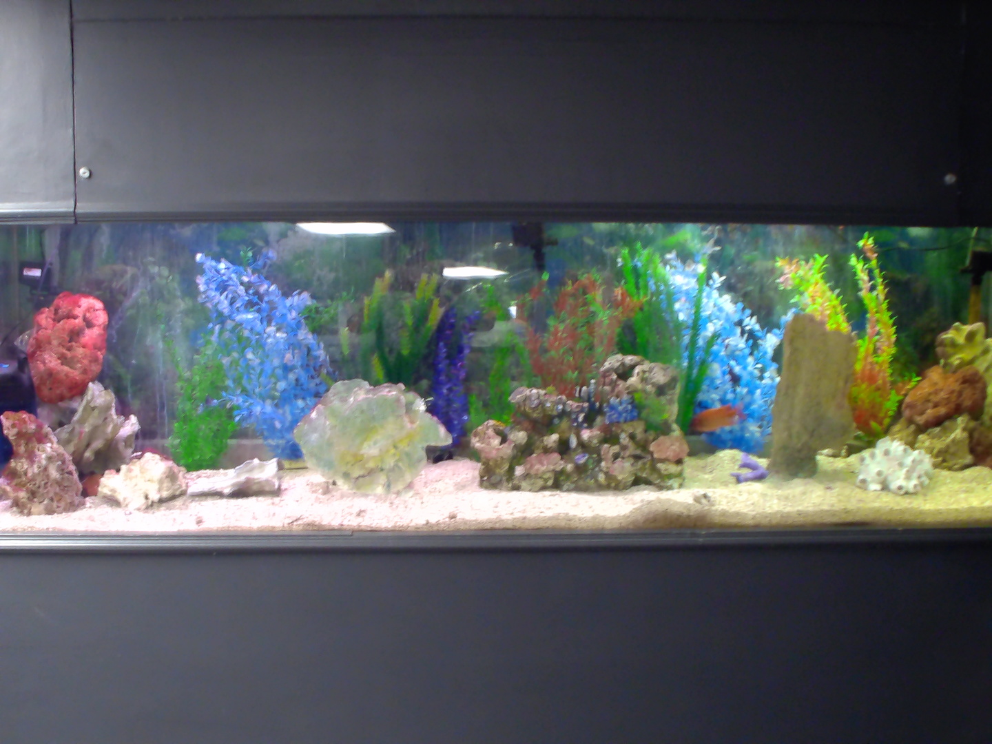 1 Bloomingdale Place Unit: 502