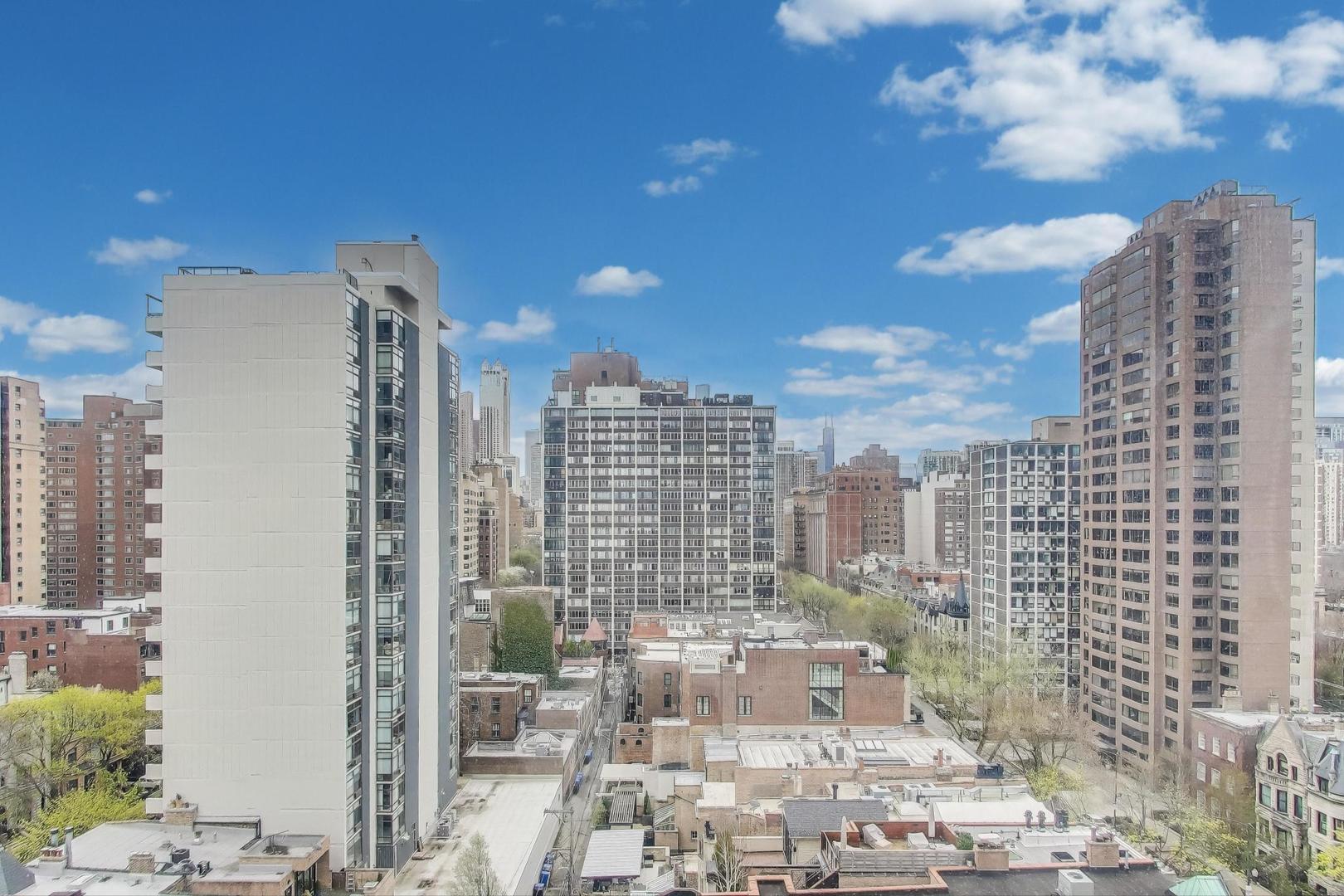 1445 N State Parkway Unit: 1302