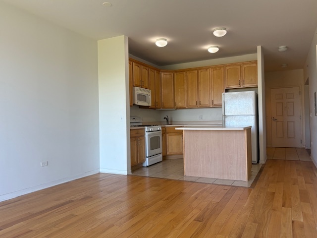 2335 W Belle Plaine Avenue Unit: 508