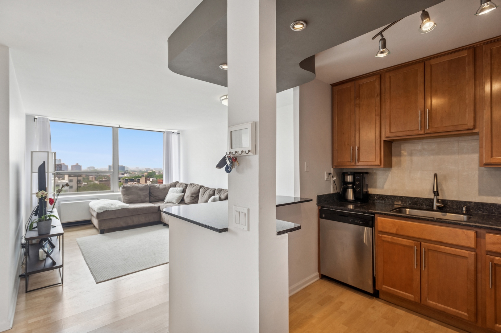1455 N Sandburg Terrace Unit: 1105
