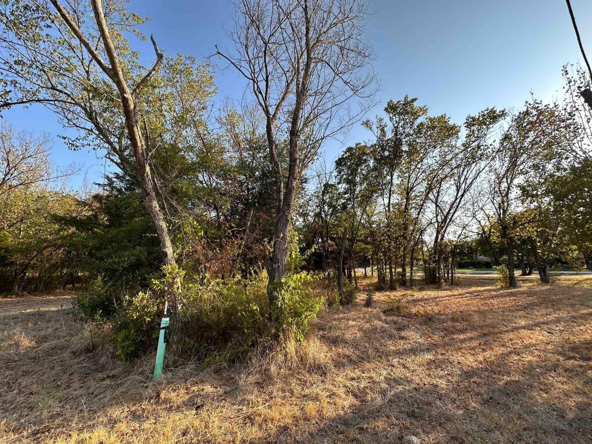 1145 E Dove Road
