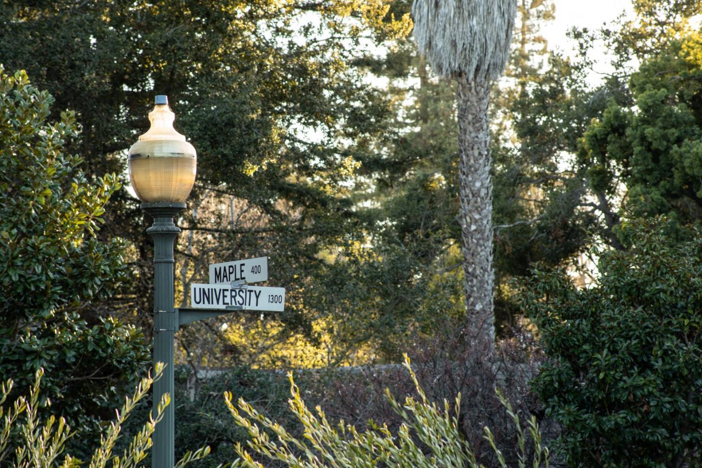 1307 University Avenue
