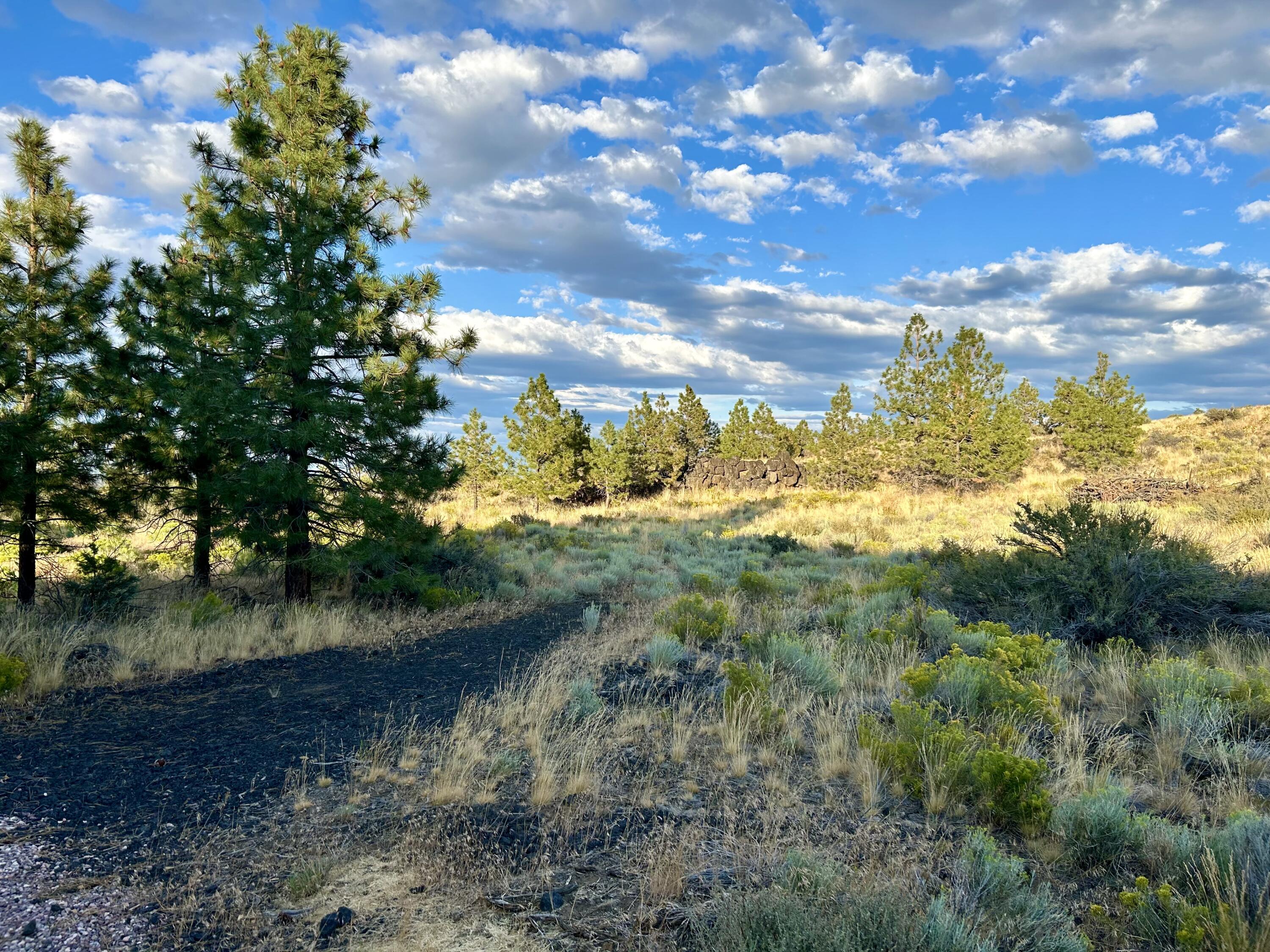 16920 Jefferson Vista Place
