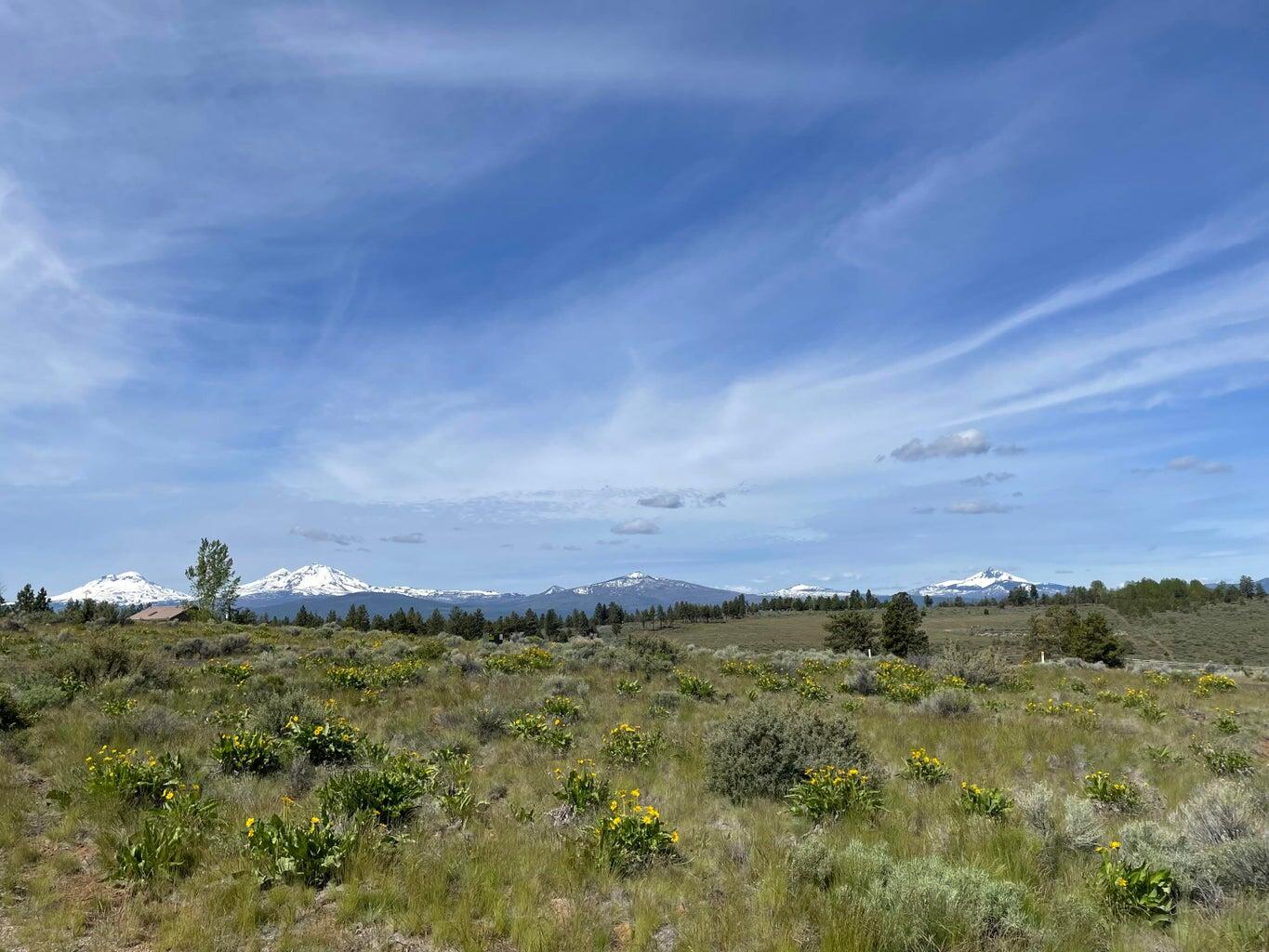 16920 Jefferson Vista Place