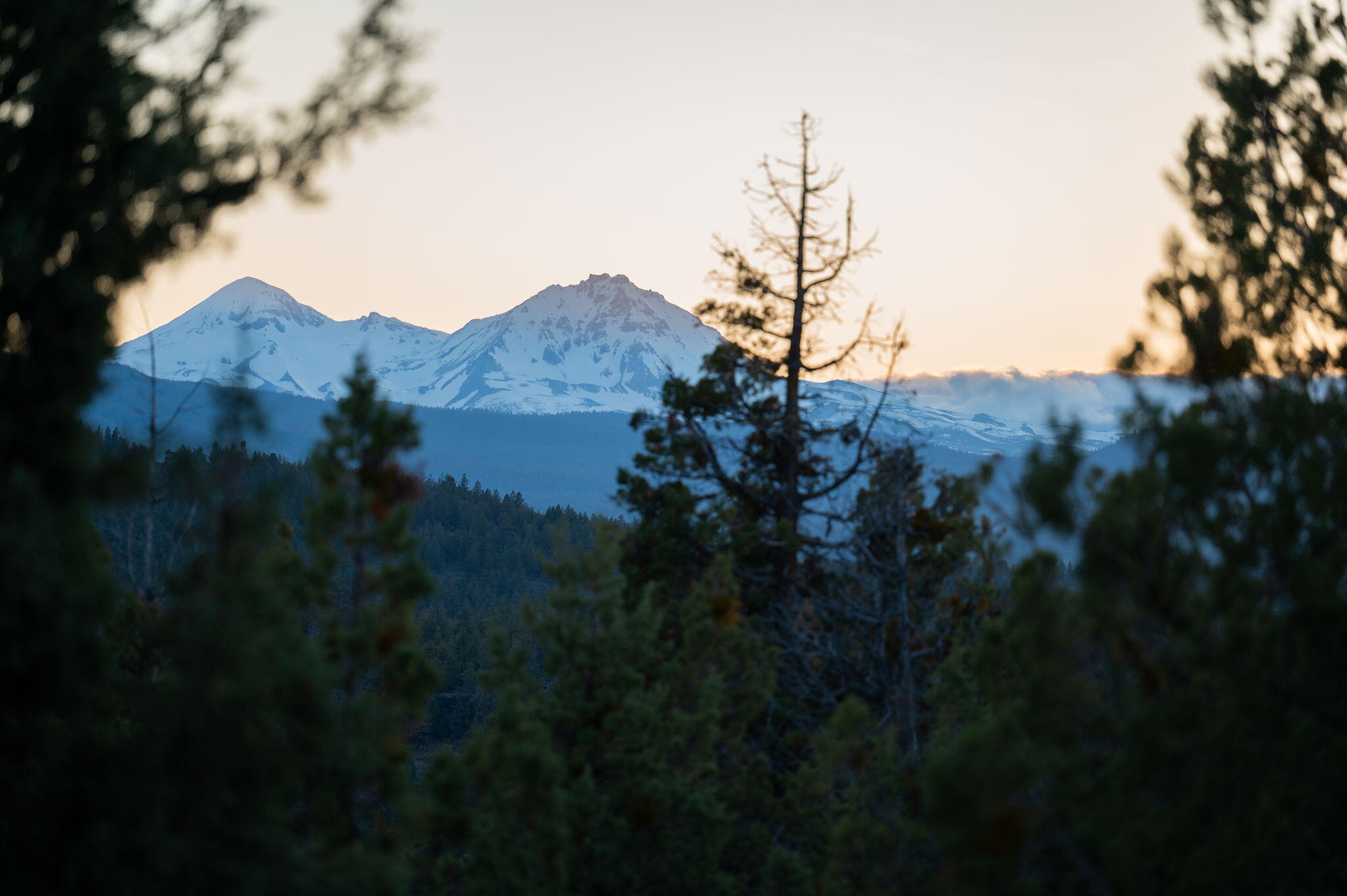 3481 NW Greenleaf Way