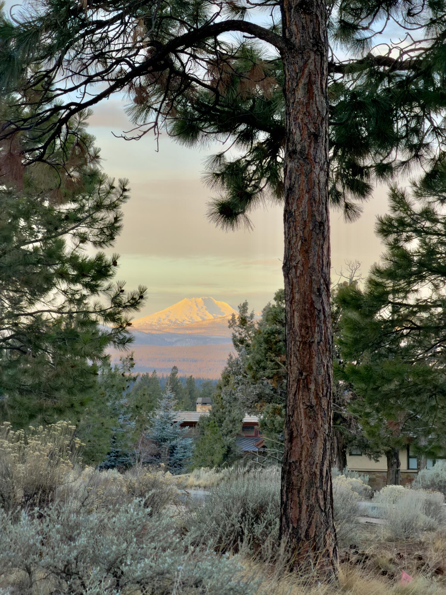 1838 NW Wild Rye Circle