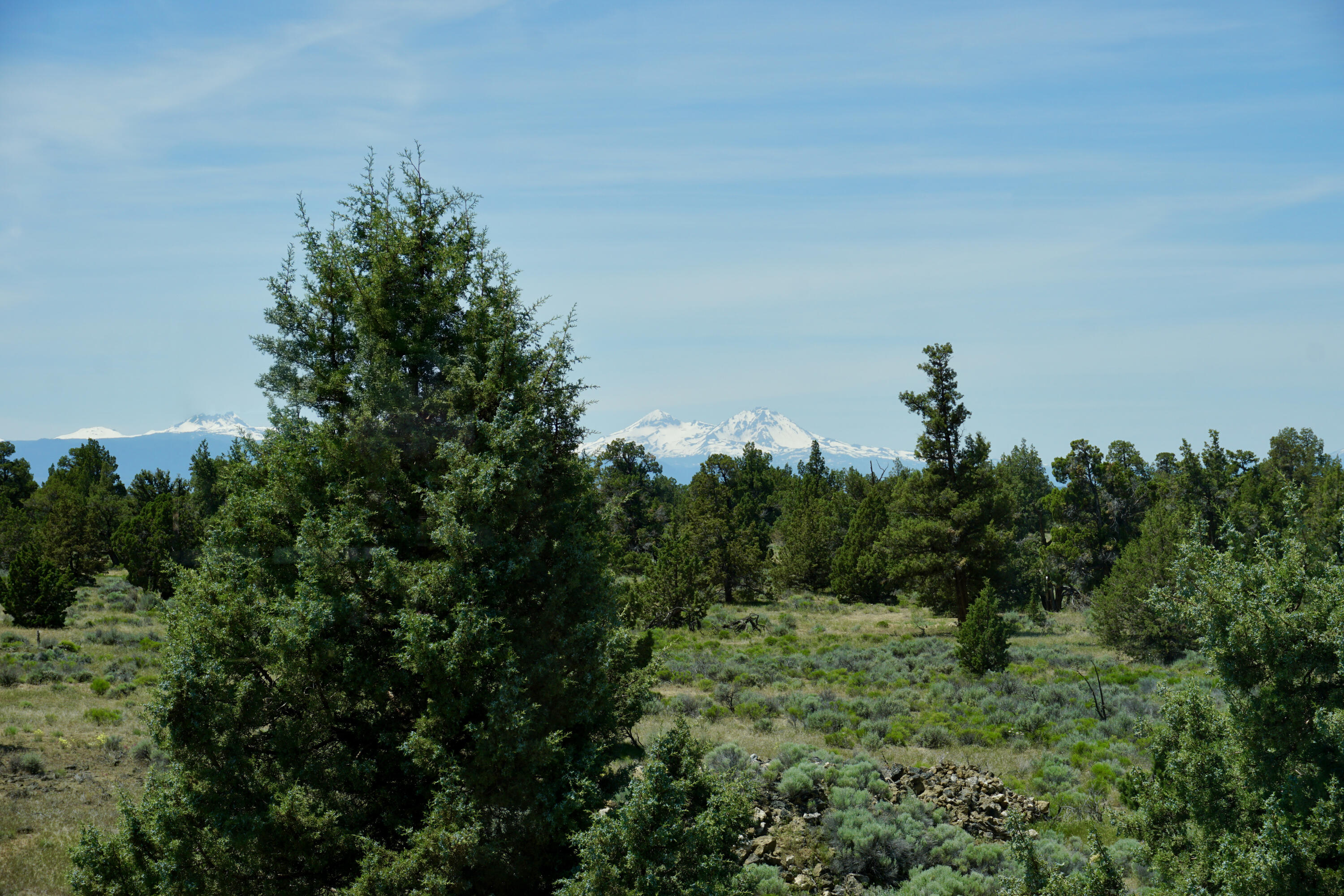 16264 SW Majestic View Lane