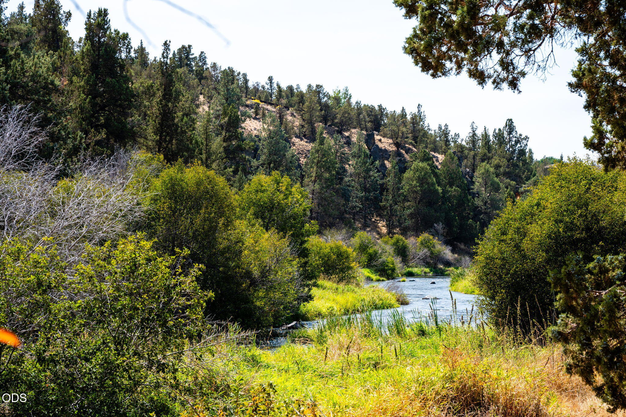 River winding through grasses and shrubs beneath a wooded hillside.