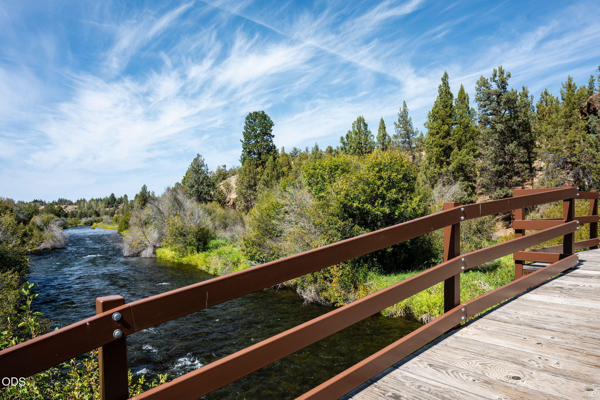 Pedestrian bridge over a river bordered by green shrubs and tall trees.
