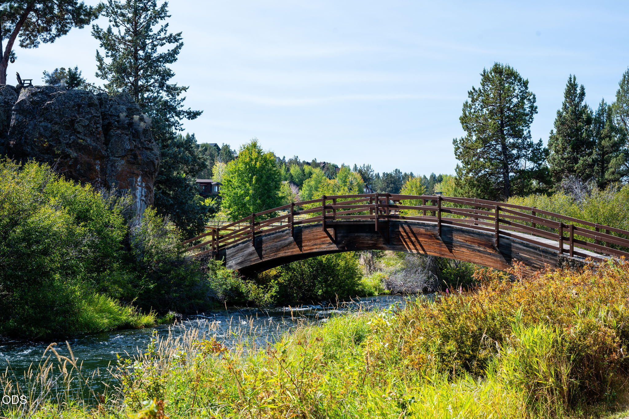 Wooden footbridge crossing a creek amid trees and autumn vegetation.