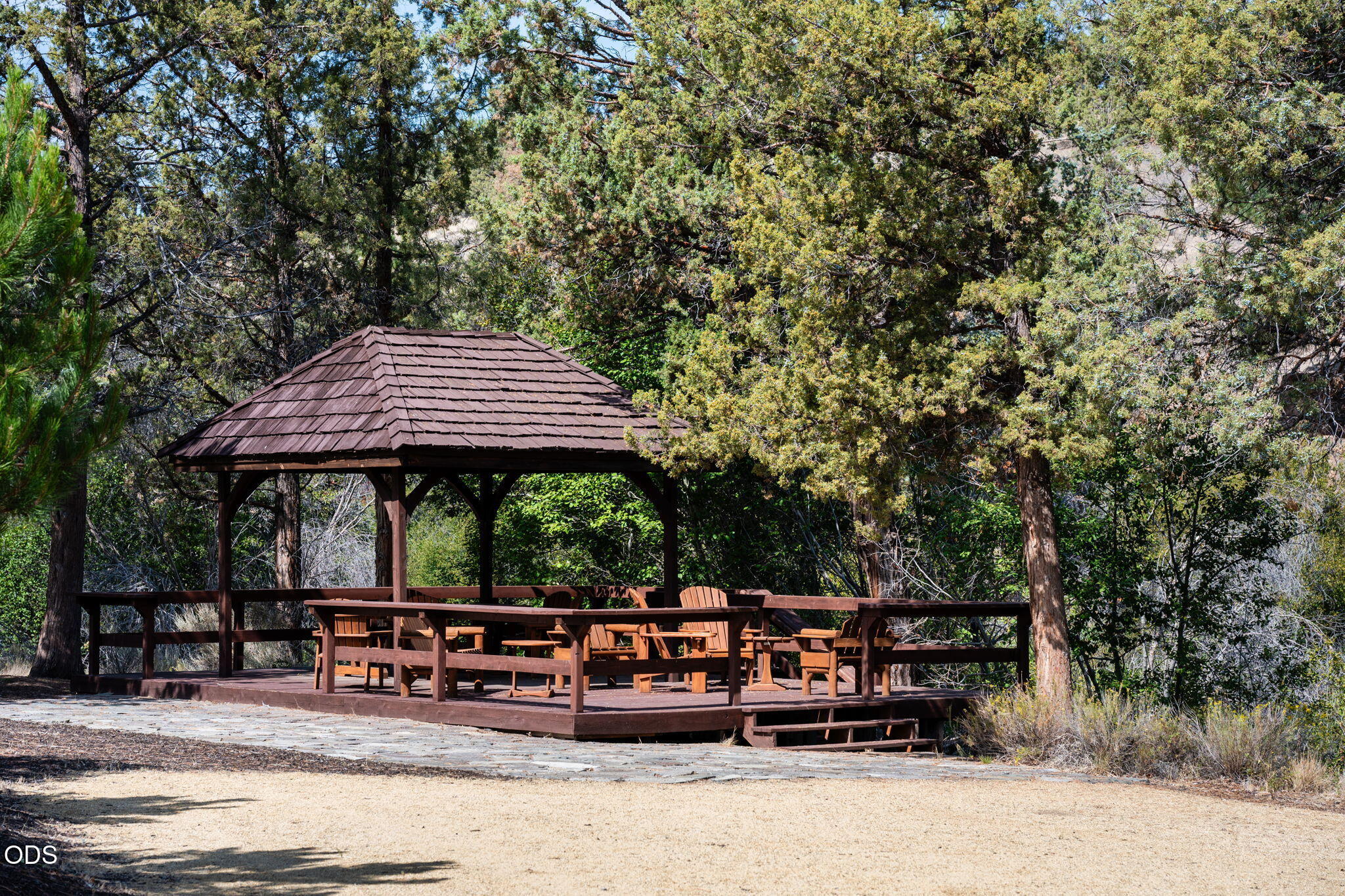 Wooden pavilion with outdoor seating nestled among mature trees.