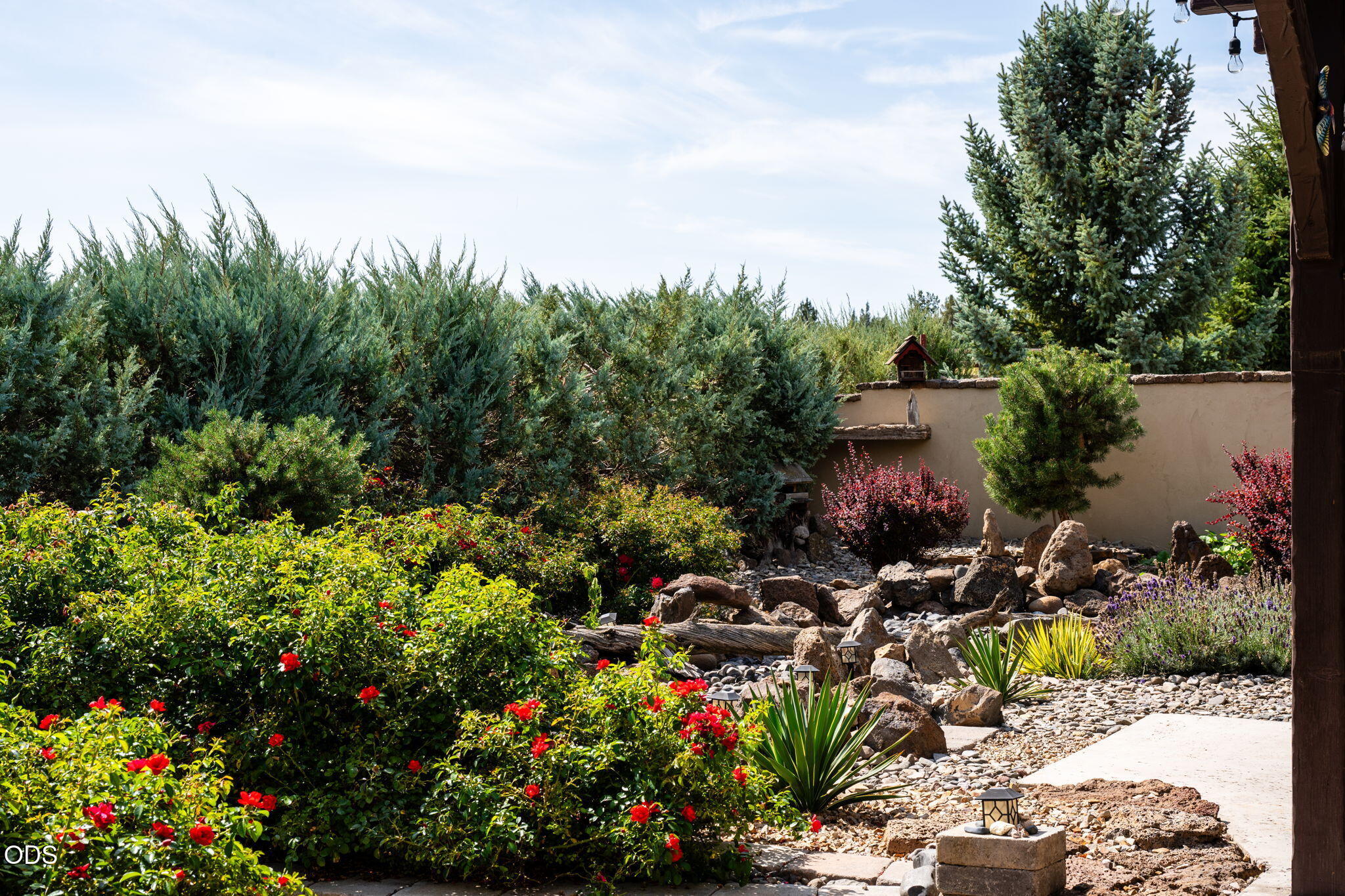Landscaped backyard with red flowers, a rock garden, evergreen trees, and a paved walkway.