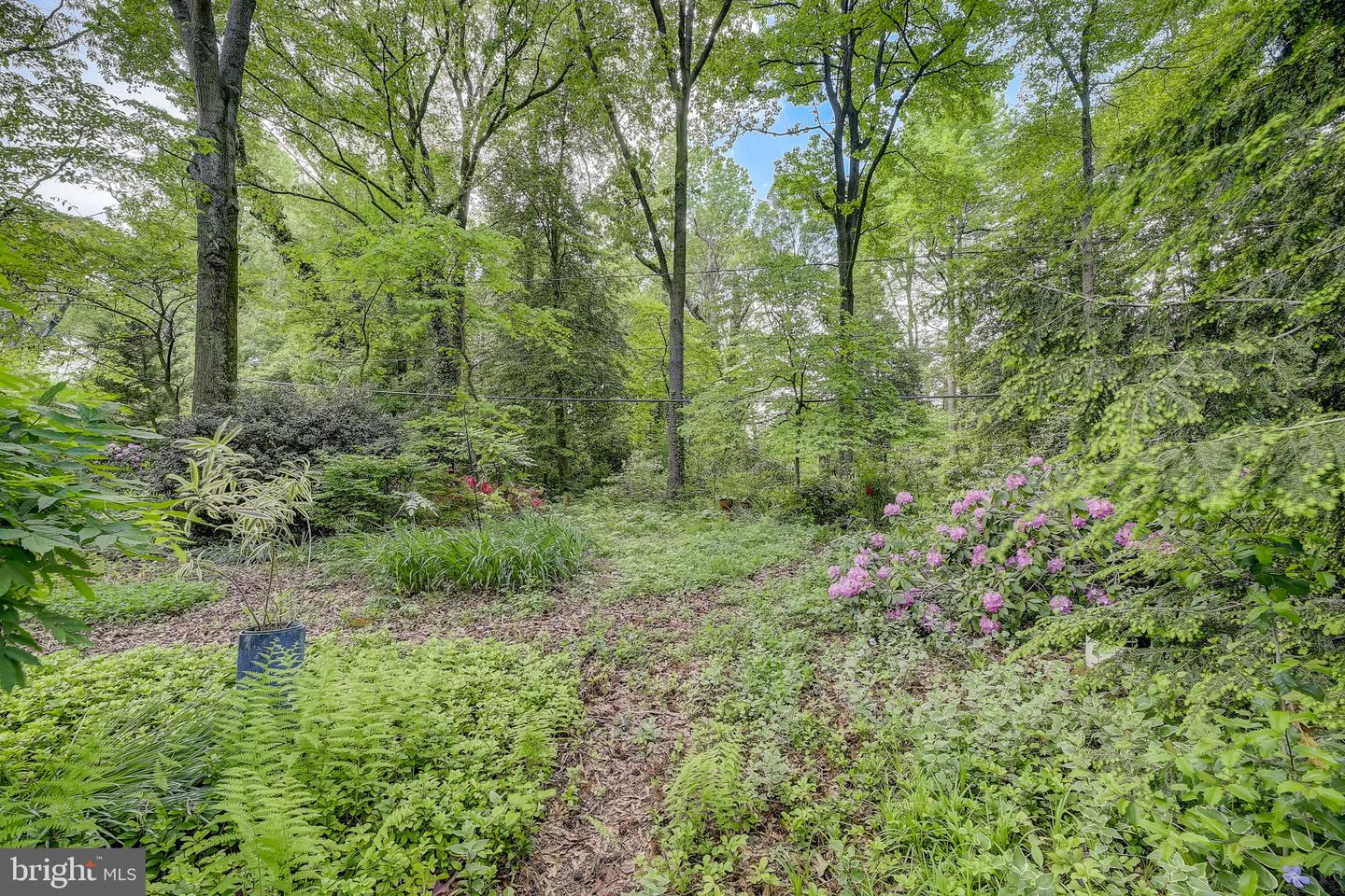 368 Stonehouse Dr