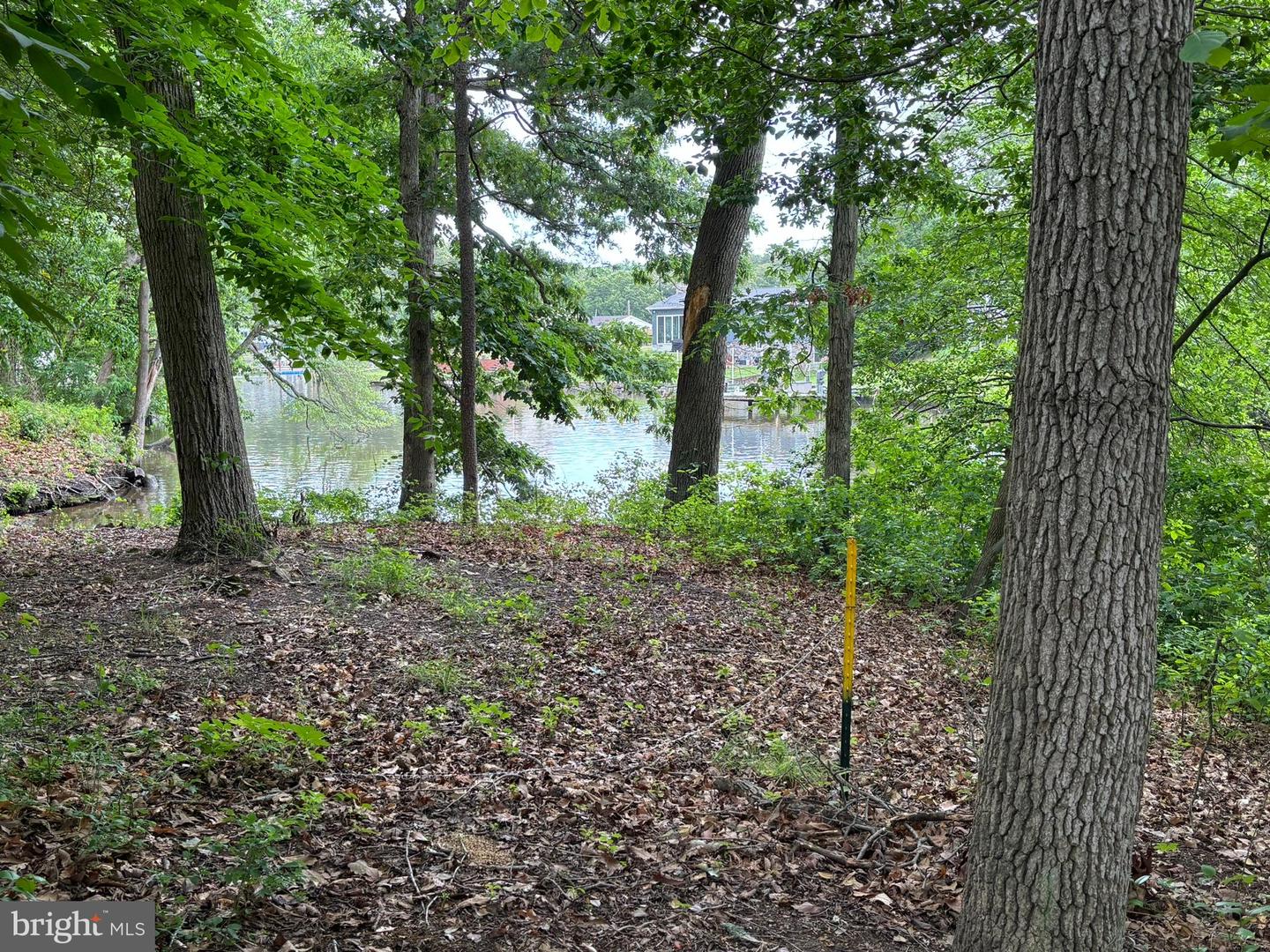 1863 Choptank Rd