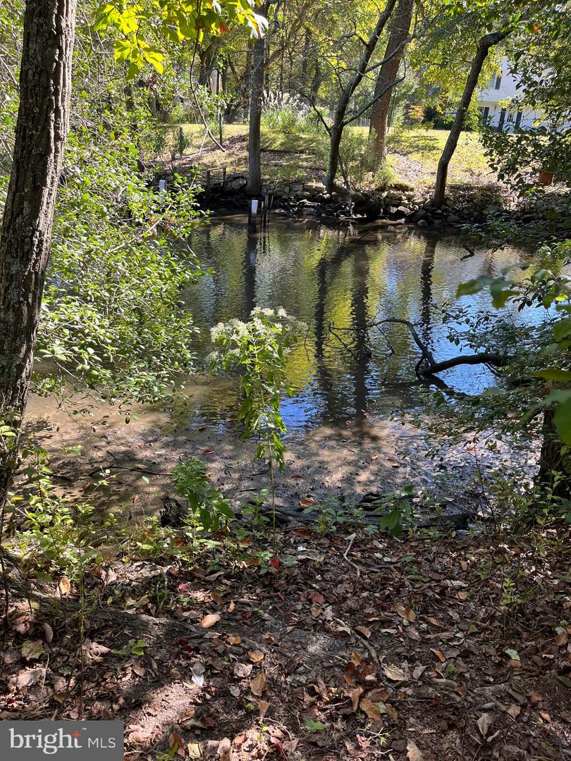 1863 Choptank Rd