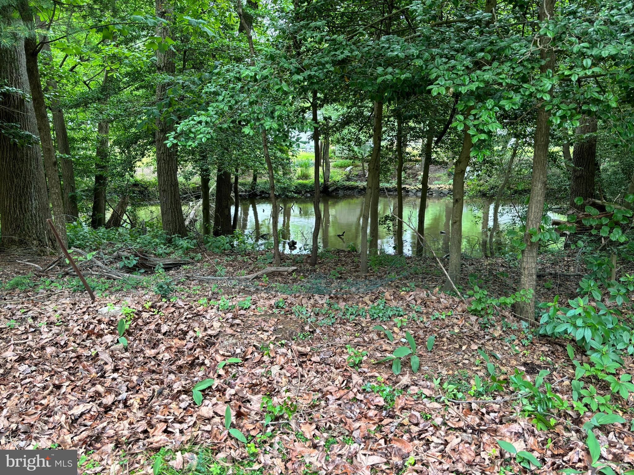 1863 Choptank Rd