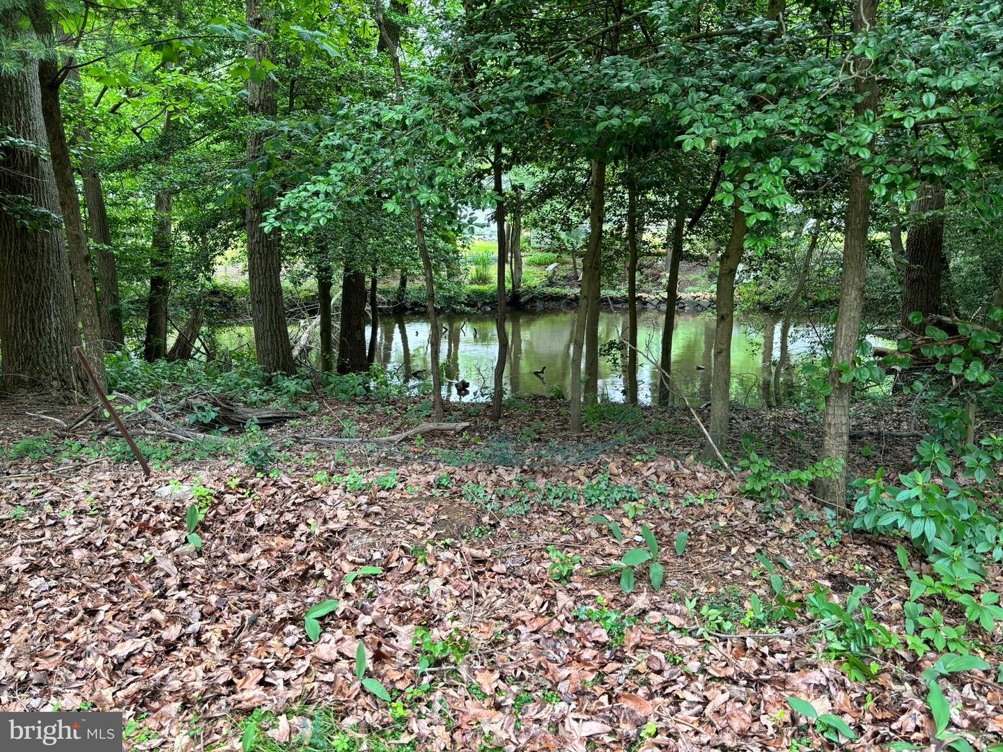 1863 Choptank Rd