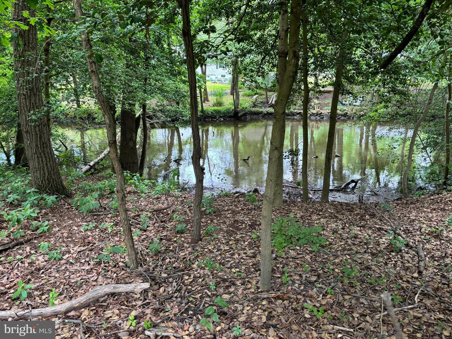 1863 Choptank Rd