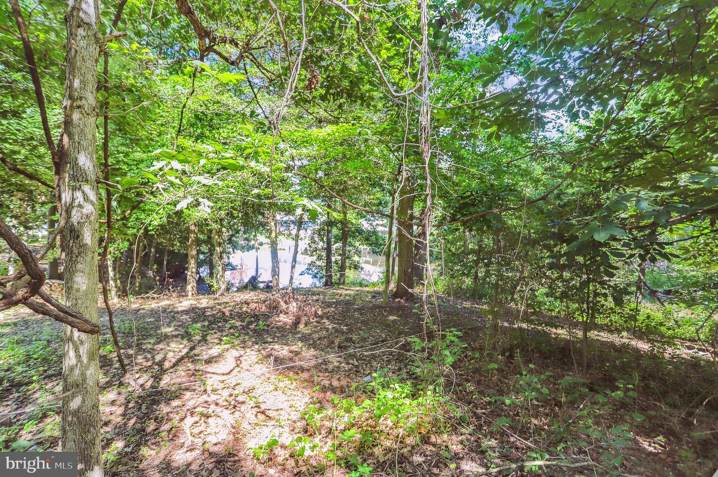 1863 Choptank Rd