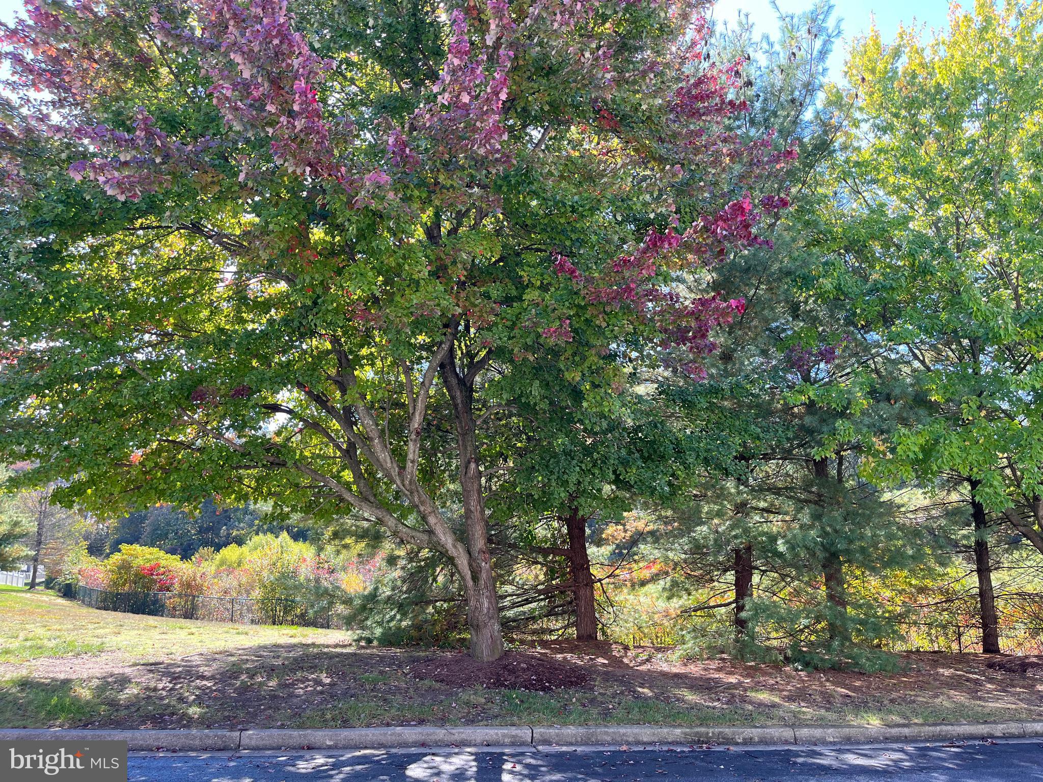 1817 WATCH HOUSE CIR S