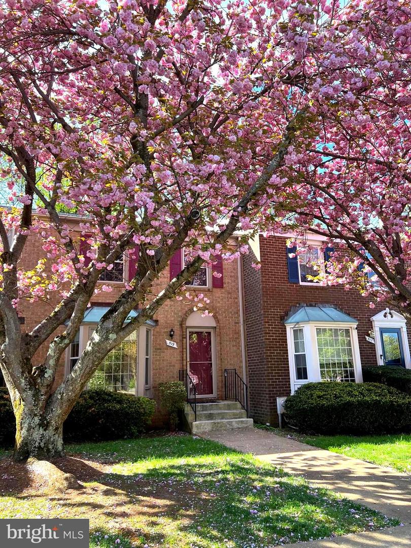 519 Bay Dale Ct