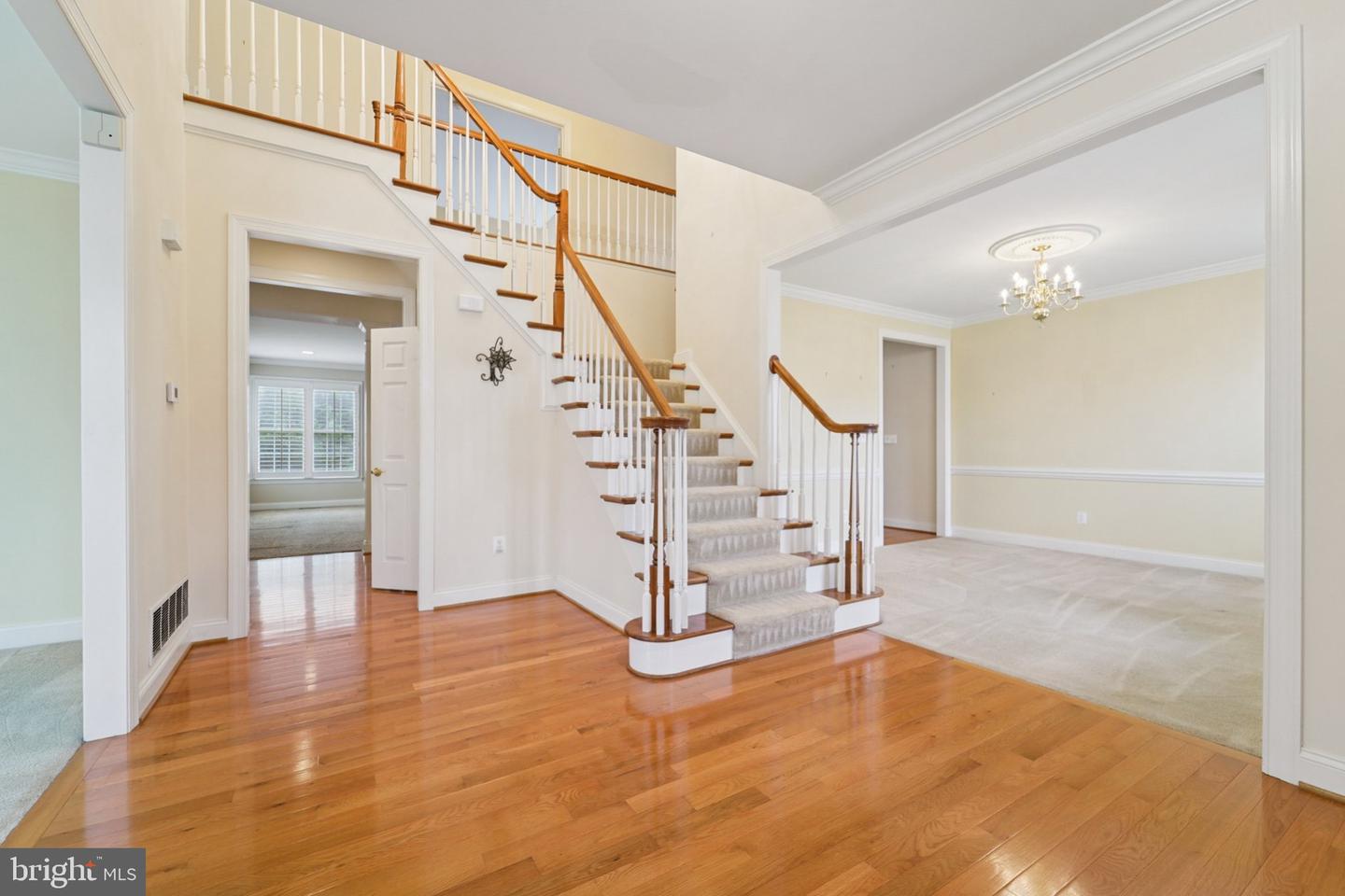 8236 Champion Ct