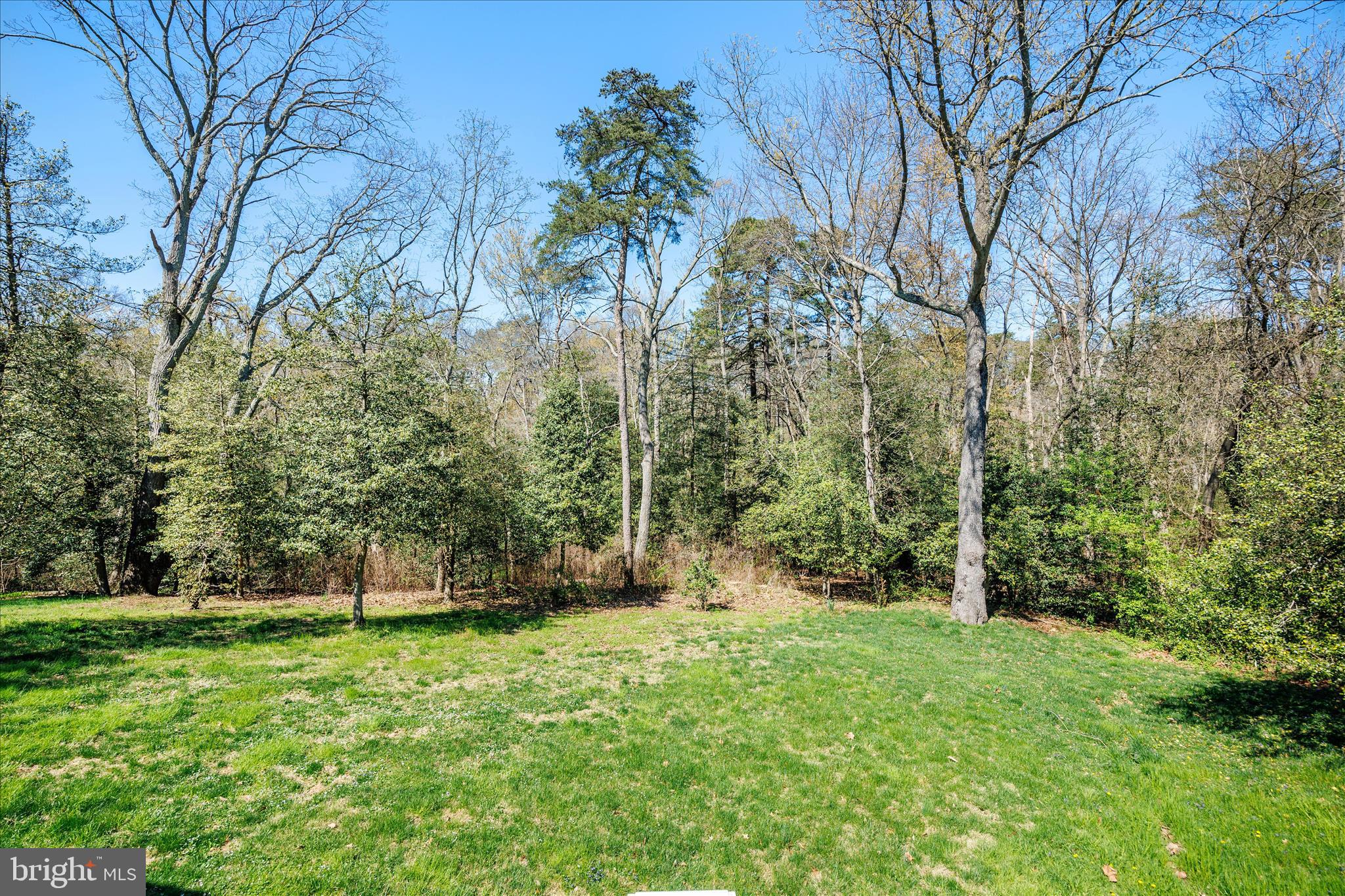 284 TOLSTOY LANE