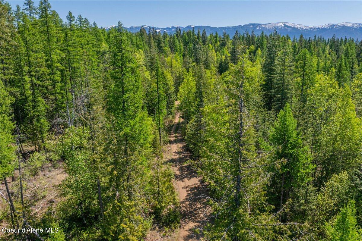 1438 Rolling Thunder Ridge Rd