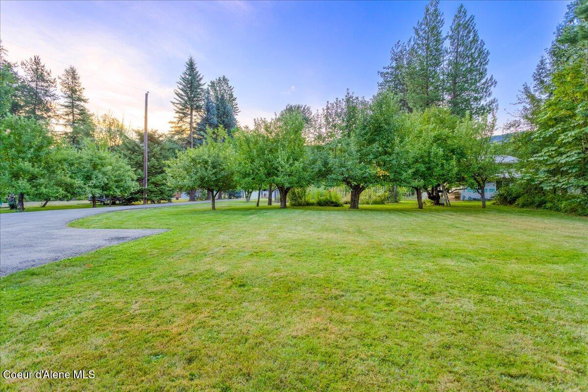 239 Birch Banks Rd