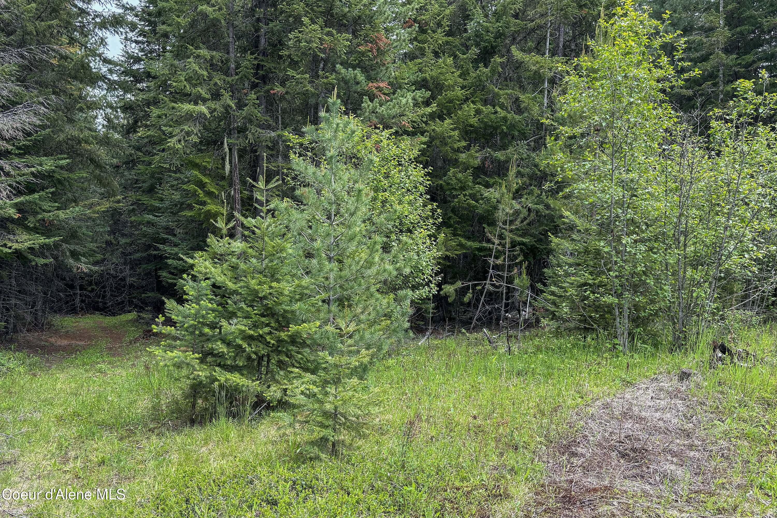 NNA Fox Creek Spur - 20 Acres