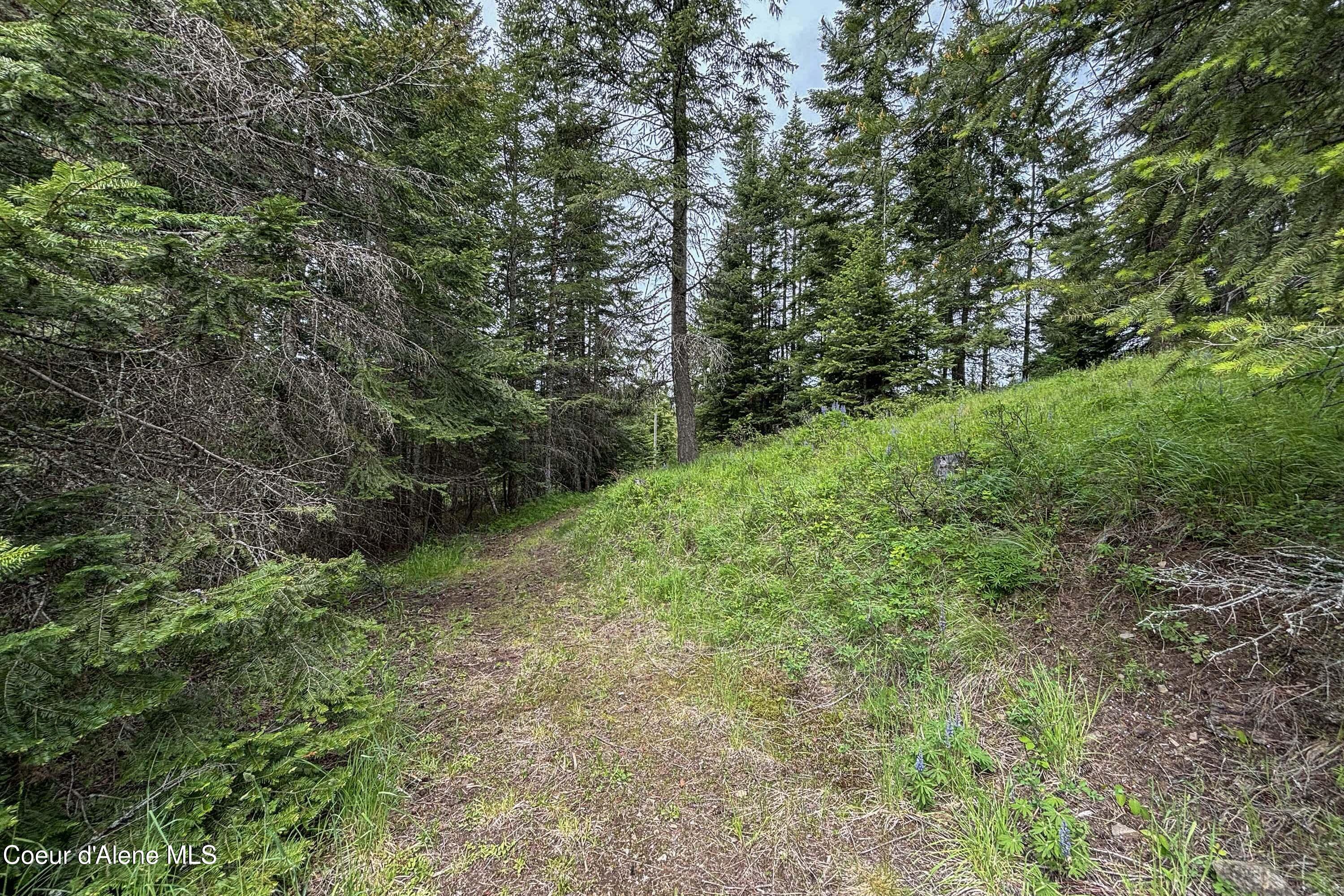 NNA Fox Creek Spur - 20 Acres