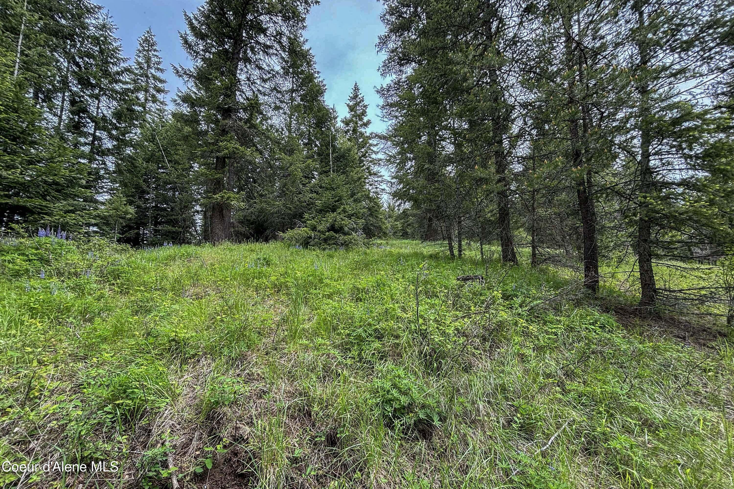NNA Fox Creek Spur - 20 Acres