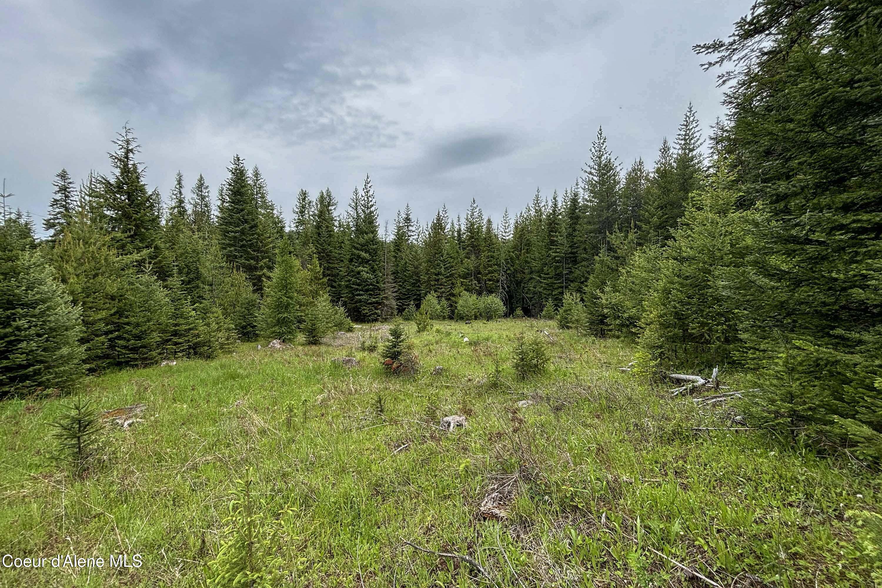 NNA Fox Creek Spur - 20 Acres