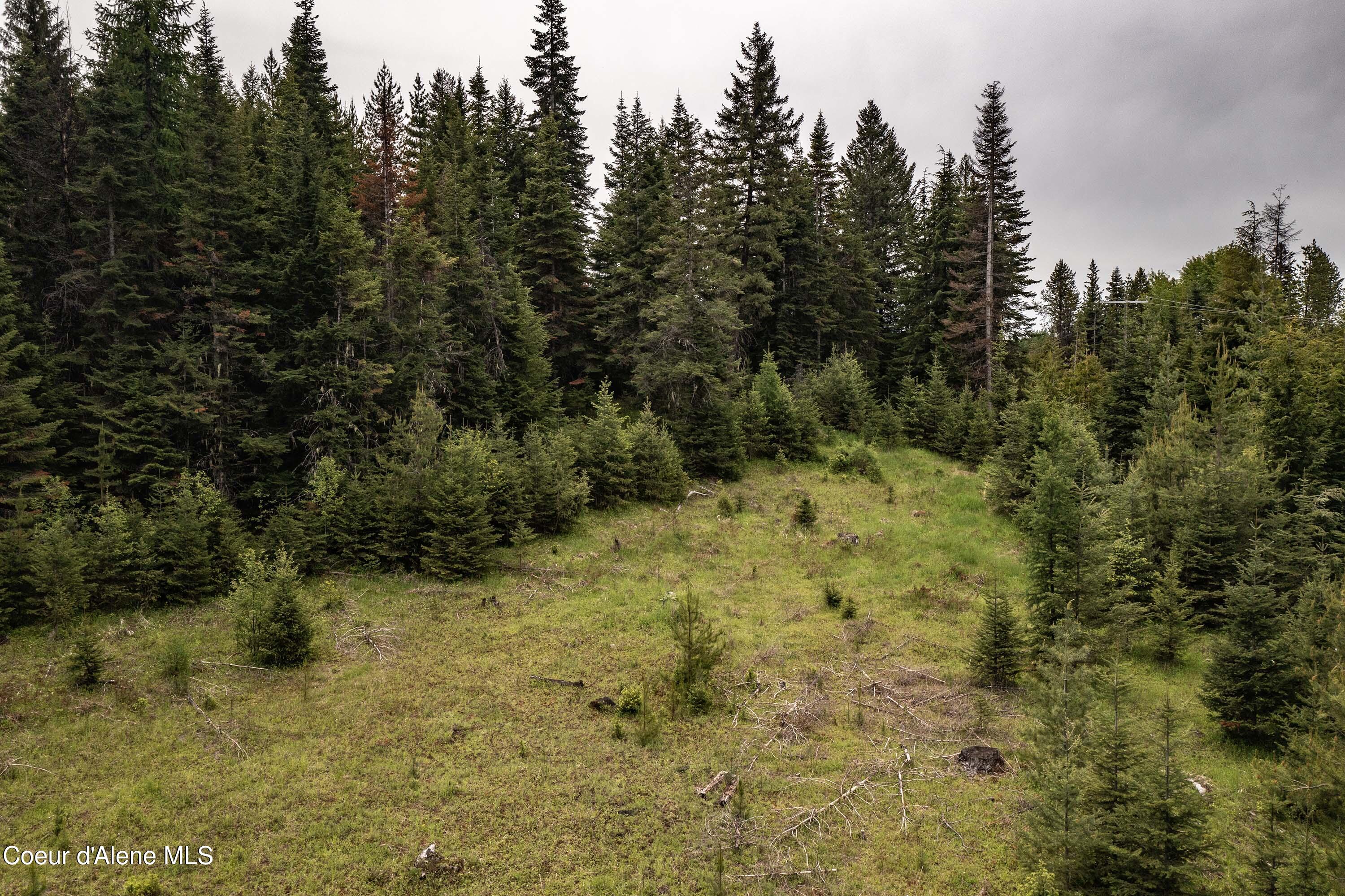 NNA Fox Creek Spur - 20 Acres