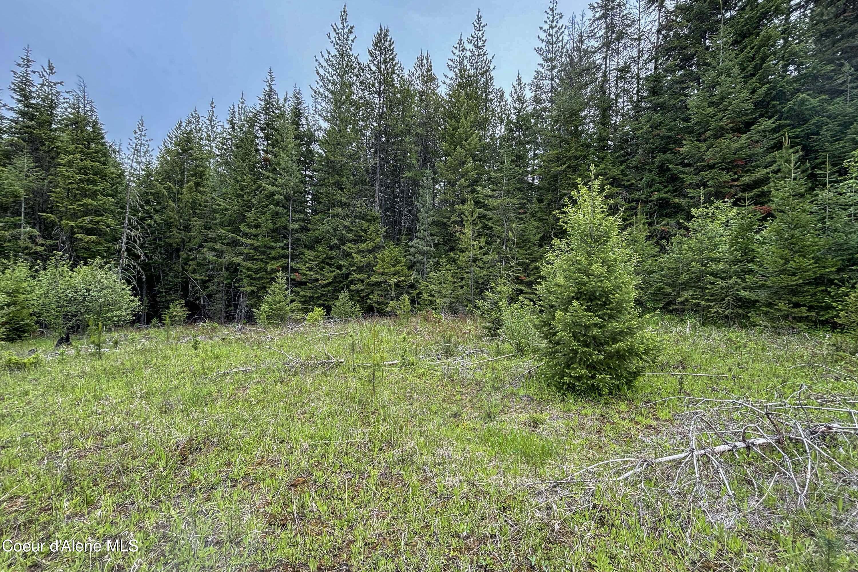 NNA Fox Creek Spur - 20 Acres