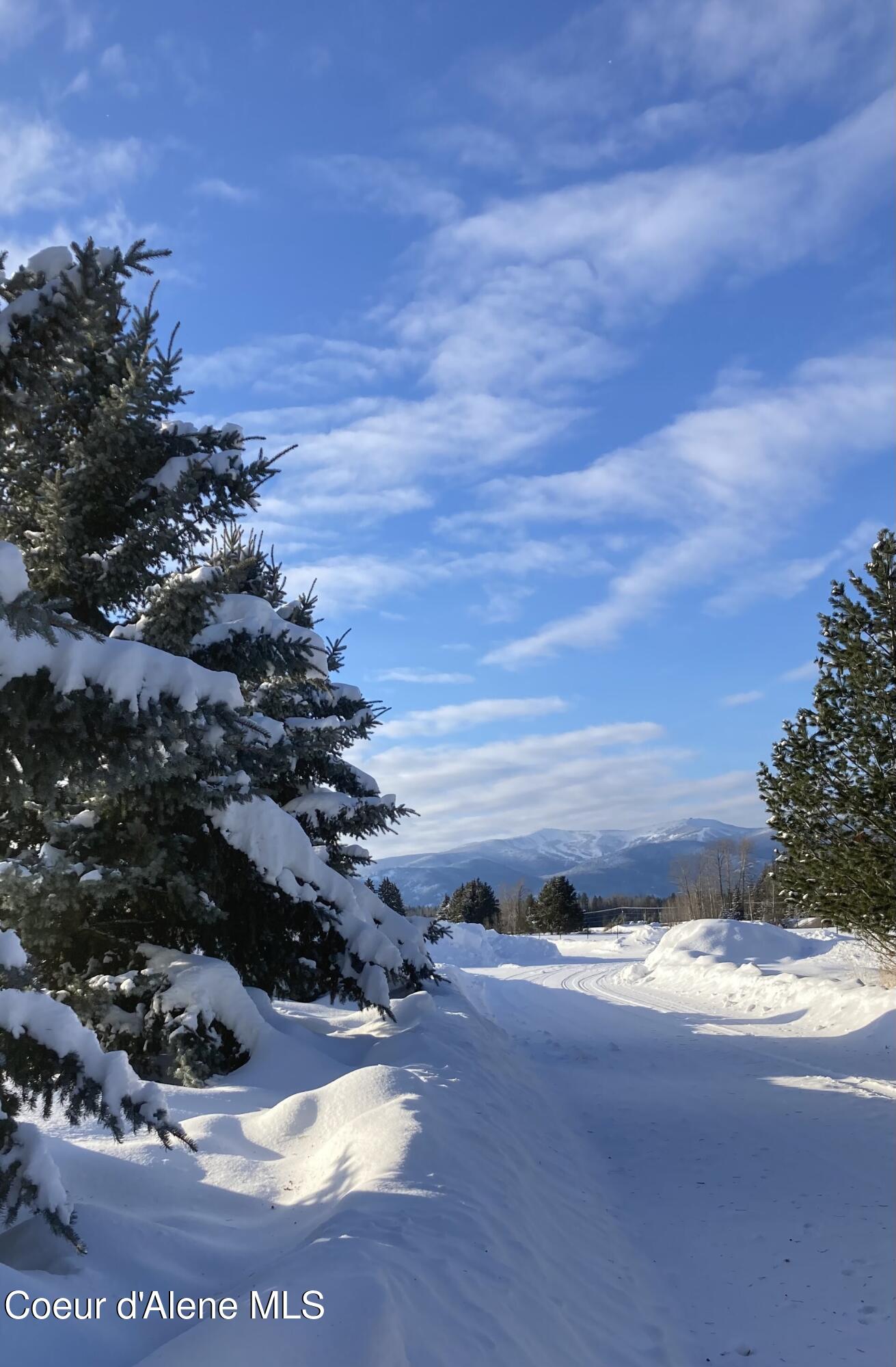 300 Sunny Shadows Lane