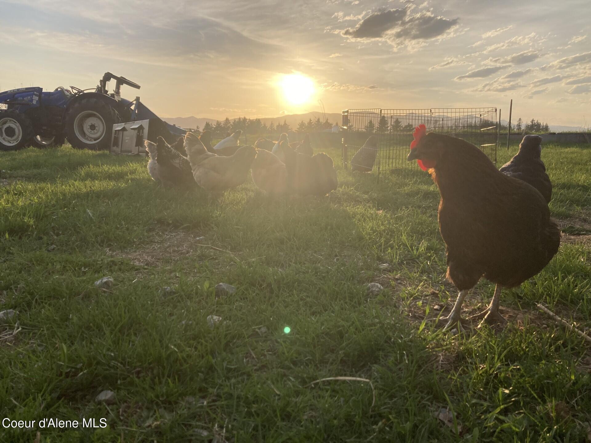 300 Sunny Shadows Lane