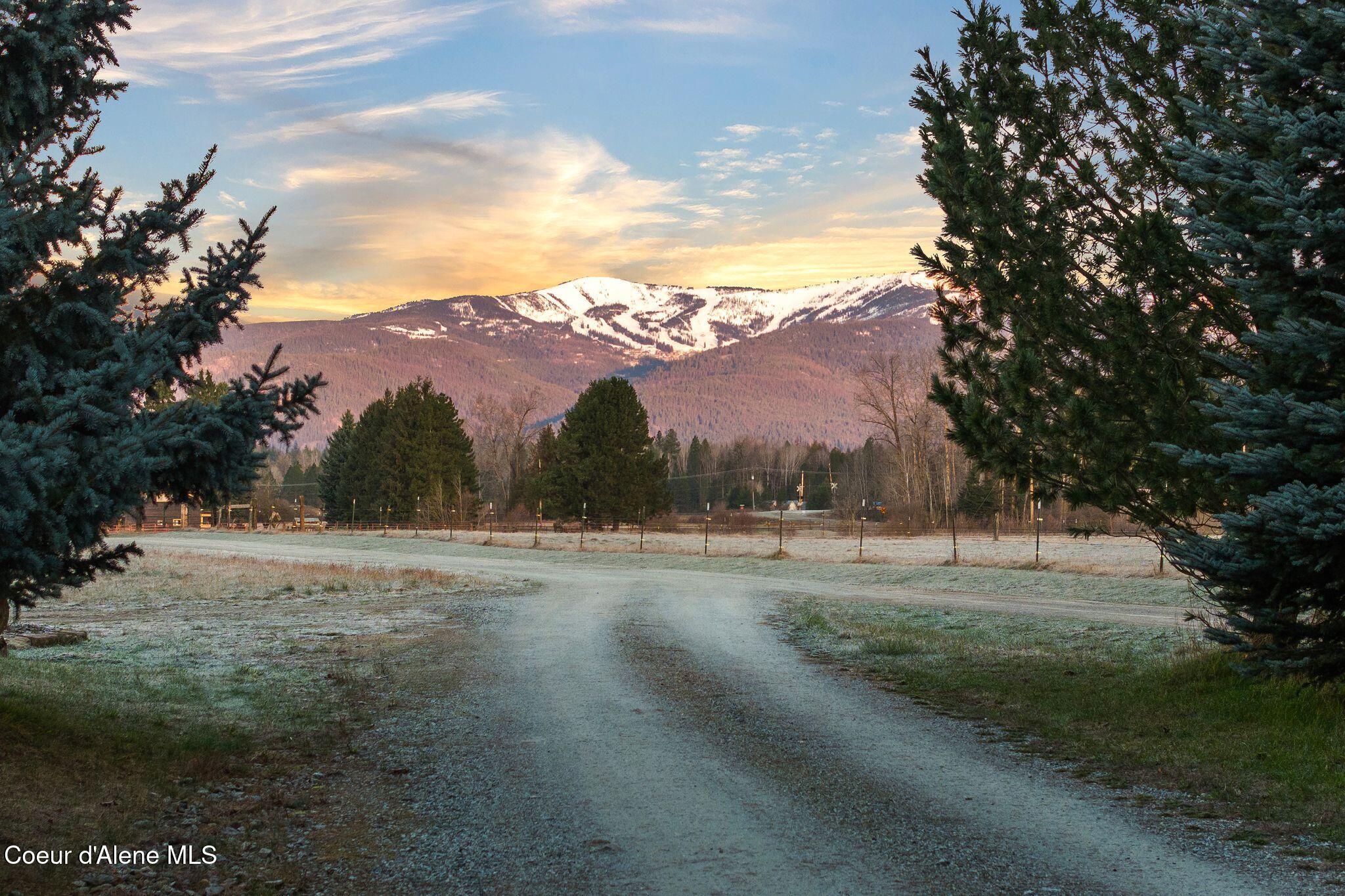 300 Sunny Shadows Lane