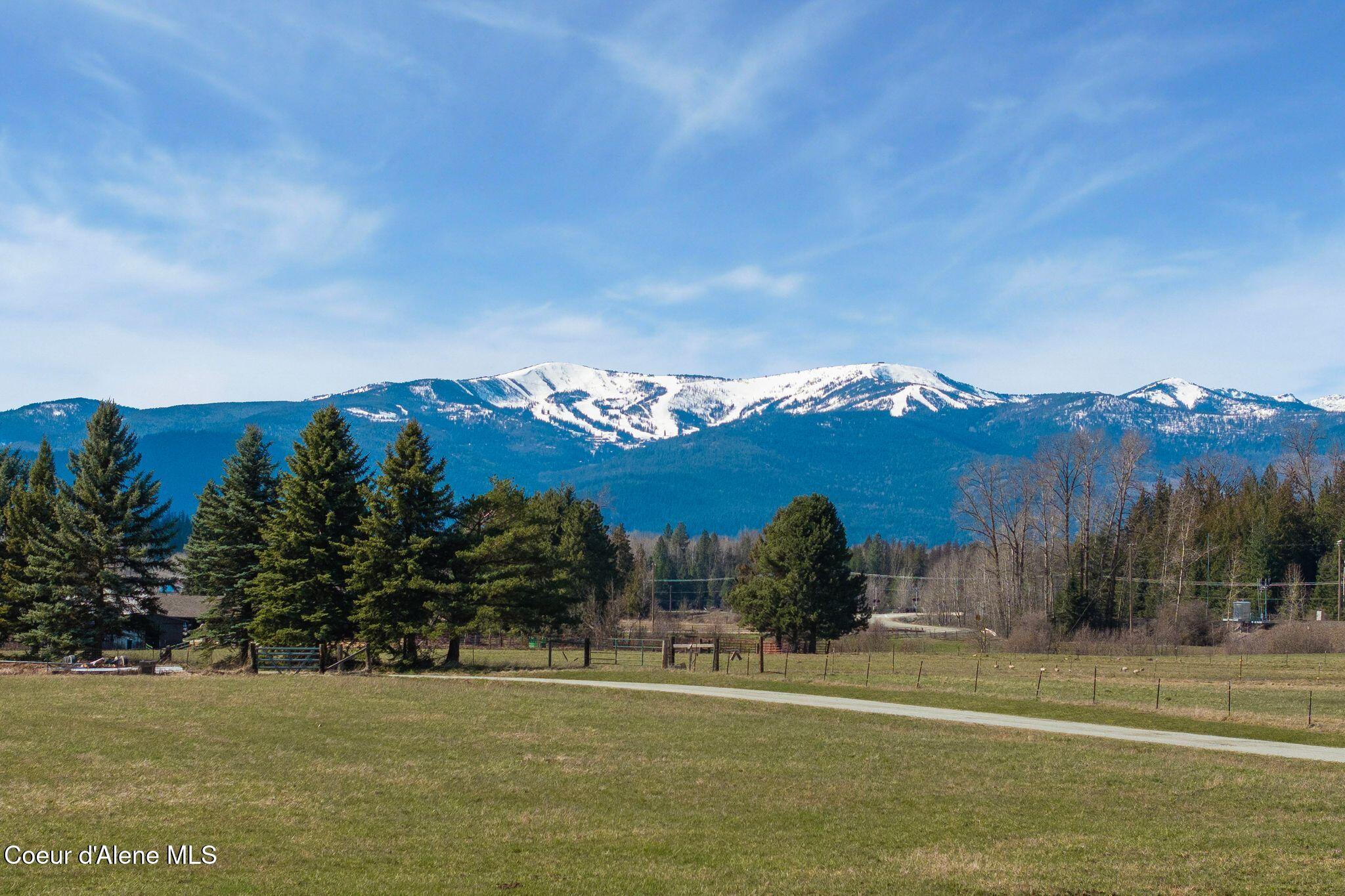 300 Sunny Shadows Lane