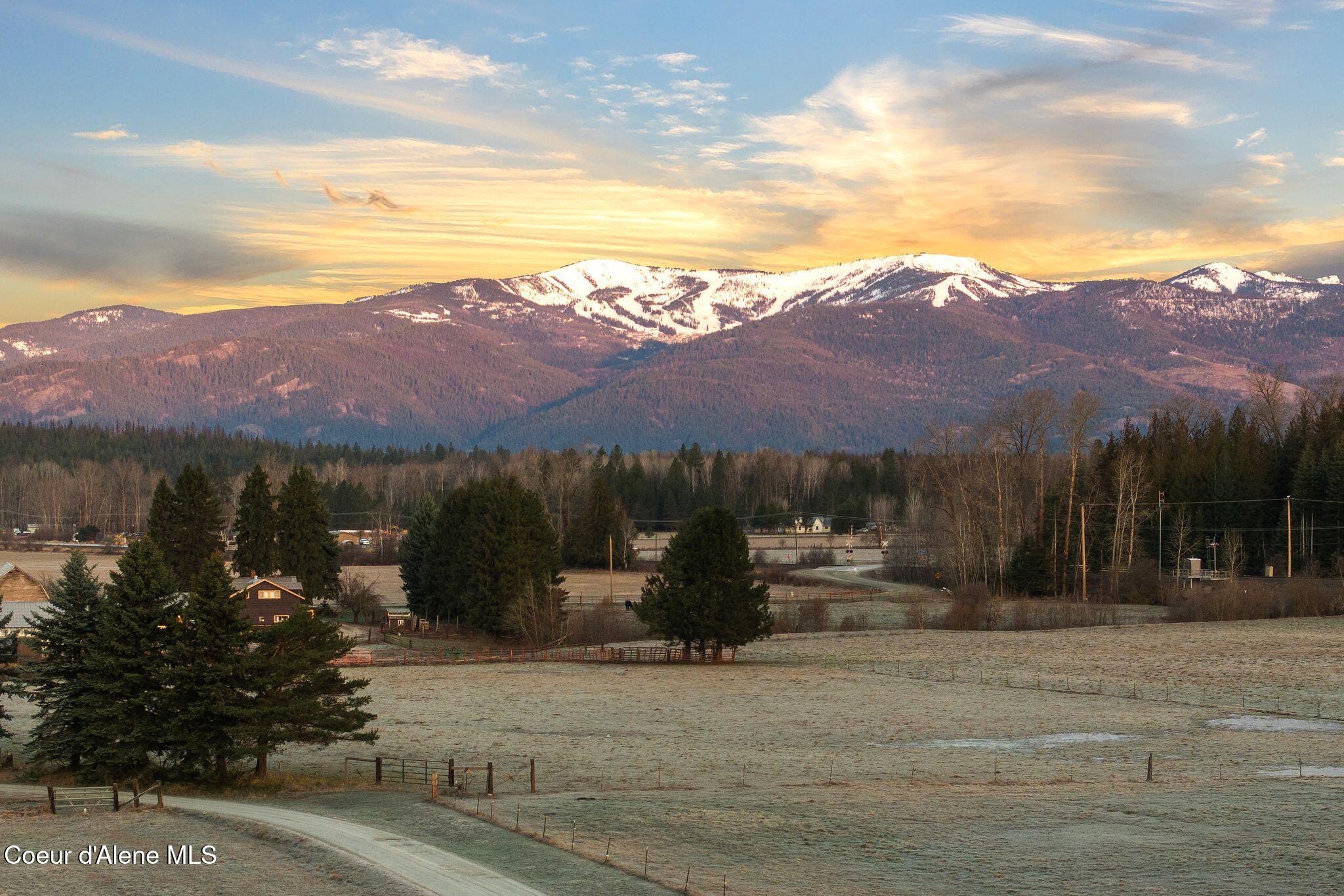 300 Sunny Shadows Lane