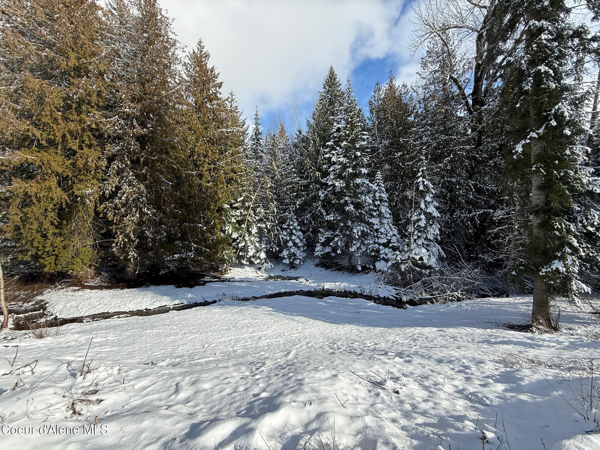 300 Sunny Shadows Lane