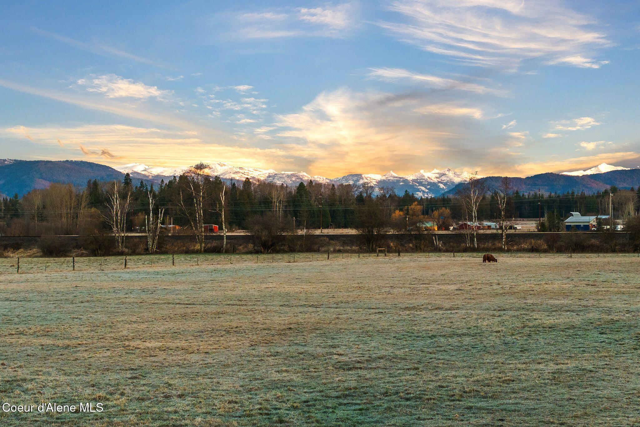 300 Sunny Shadows Lane