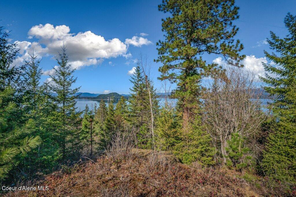 477 Big Pine Drive - 5.6 Acres