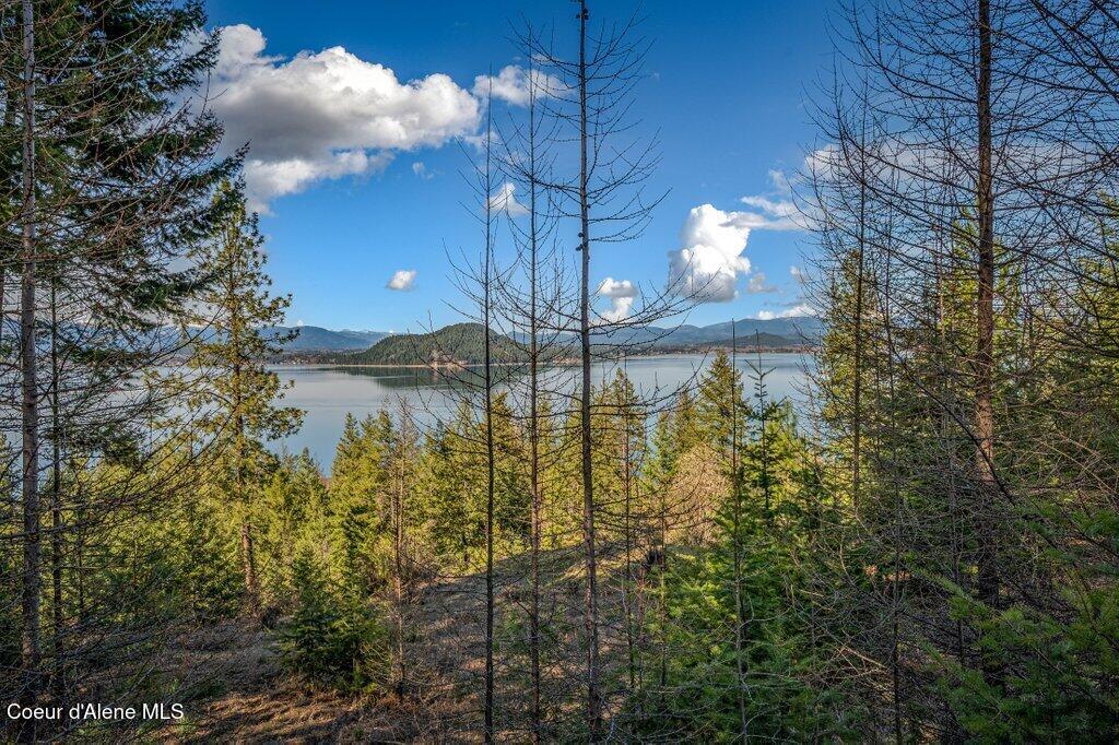 477 Big Pine Drive - 5.6 Acres