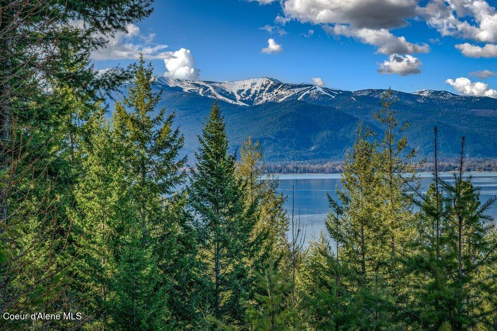 477 Big Pine Drive - 5.6 Acres